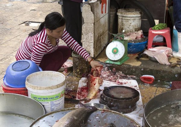 Γυναίκα κόβοντας ένα ψάρι στην αγορά στο Ανόι — Φωτογραφία Αρχείου