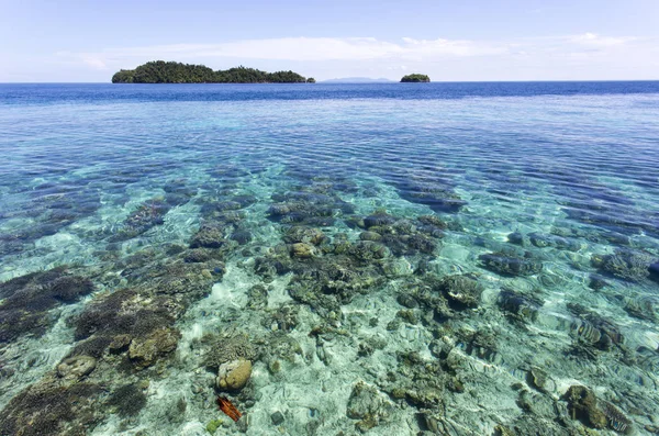Hermoso mar frente a las islas Togian — Foto de Stock