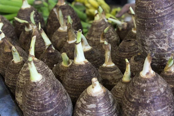 Taro i hańba warzywa na rynku — Zdjęcie stockowe