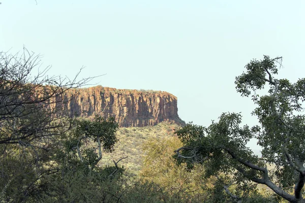 Vue sur le plateau du waterberg en Namibie — Photo