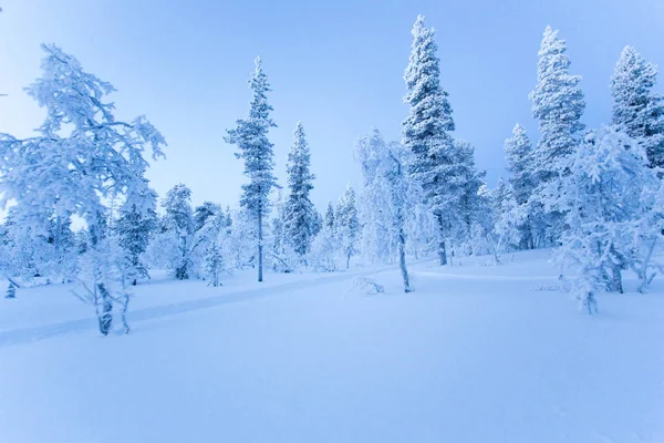 Lapland tijdens de winter — Stockfoto