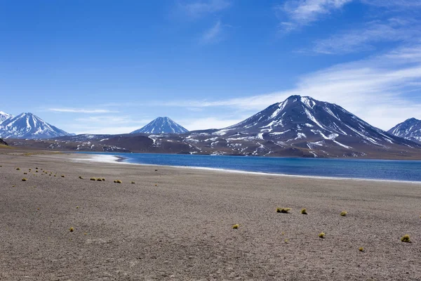 Красивый вид на Альтипланику — стоковое фото