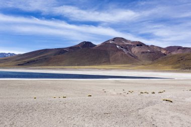 Güzel bir laguna altiplanika manzarası.