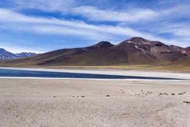 Güzel bir laguna altiplanika manzarası. 