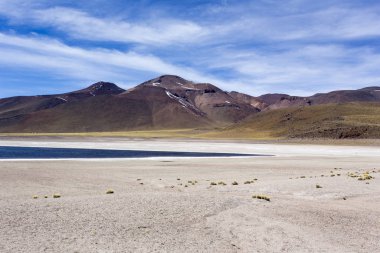 Güzel bir laguna altiplanika manzarası.