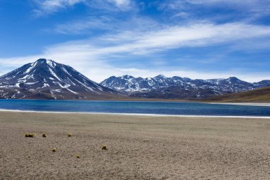 Güzel bir laguna altiplanika manzarası. 