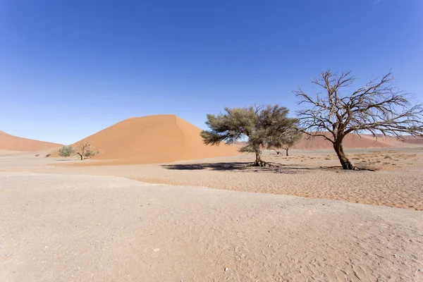 Hermosa duna roja en el desierto — Foto de Stock