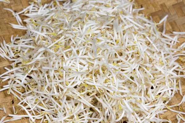 Fresh bean sprouts on sale at market — Stock Photo, Image