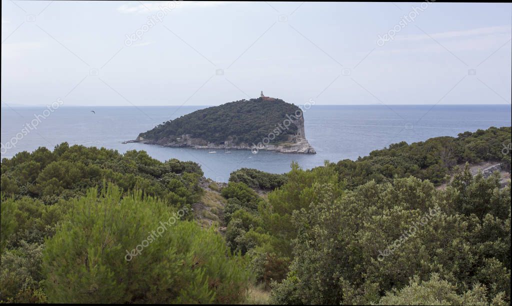 view of Tino island from Palmaria island