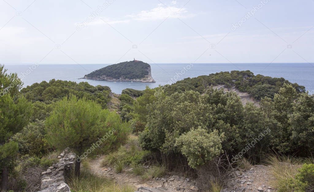 view of Tino island from Palmaria island