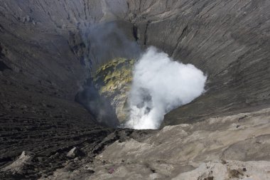 Java adasındaki Bromo yanardağının içine bakıyorum.