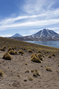 Güneşli kış gününde Miscanti Gölü manzarası