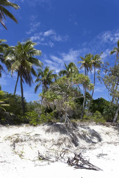 Den vackra stranden på ön Ouvea — Stockfoto