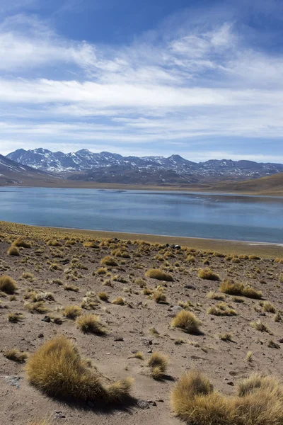 Utsikt Över Miscanti Sjö Solig Vinterdag Chile — Stockfoto