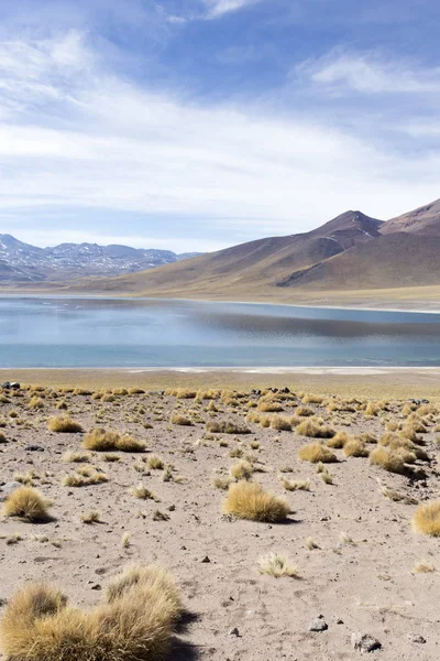 Una Vista Del Lago Miscanti Soleado Día Invierno Chile — Foto de Stock