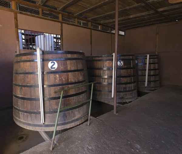 Pisco Elqui Cile Agosto 2019 Distilleria Pisco Pisco Elqui Cile — Foto Stock