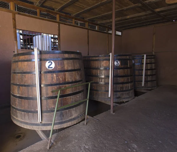 Pisco Elqui Cile Agosto 2019 Distilleria Pisco Pisco Elqui Cile — Foto Stock