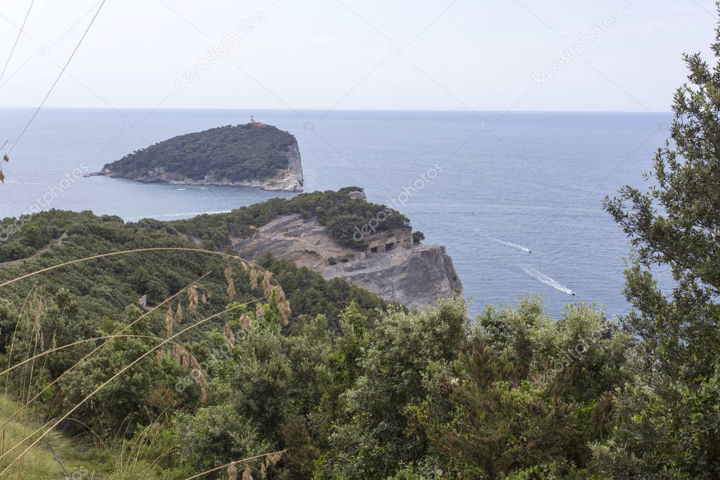 A view of Tino island from Palmaria, Italy