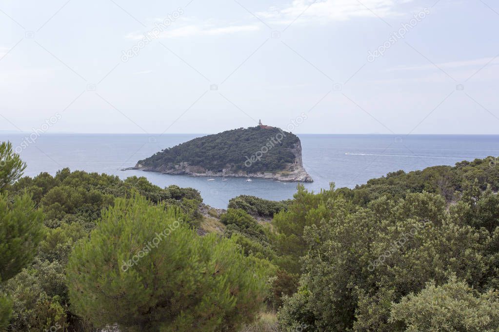 A view of Tino island from Palmaria, Italy