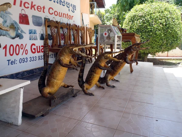 Siem Reap Camboja Maio 2013 Lembrança Crocodilos Vendida Fazenda Crocodilos — Fotografia de Stock