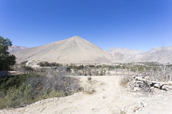 Beautiful Landscape Pisco Elqui Area Chile — Stock Photo, Image