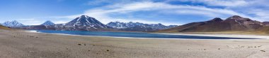 Şili 'deki Laguna Miscanti ve Minik Parkı