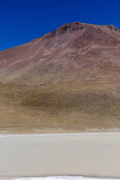 Ein Vertikales Bild Der Laguna Blanca Bolivien — Stockfoto