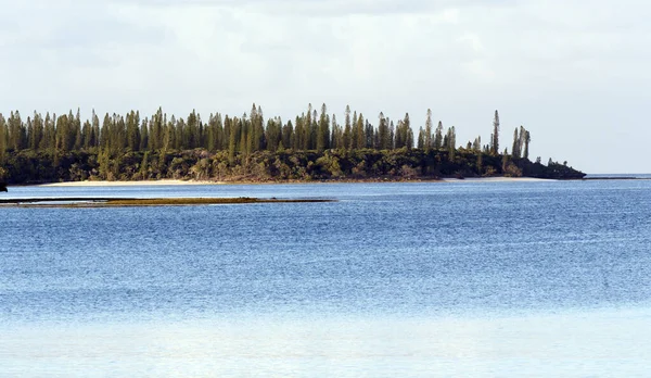 Ett Underbart Landskap Iles Des Pins Nya Kaledonien — Stockfoto