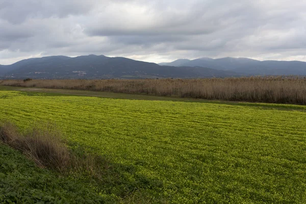 Vue Campagne Sardaigne Pendant Hiver Italie — Photo