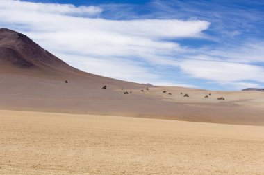 Bolivya 'daki Salvador Dali Vadisi manzarası