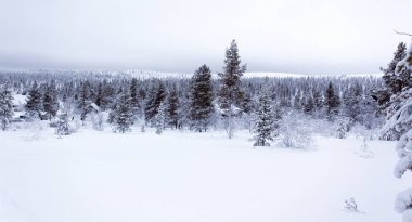 Finlandiya 'da kış boyunca donmuş bir manzara