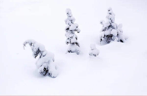 Zmrzlá Krajina Během Zimy Finsku — Stock fotografie