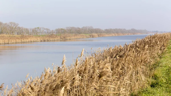 Panorama Vale Comacchio Campo Rio Itália — Fotografia de Stock