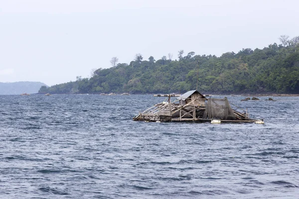 Tangkoko Indonesien August 2017 Eine Fischereistation Tangkoko Nationalpark — Stockfoto