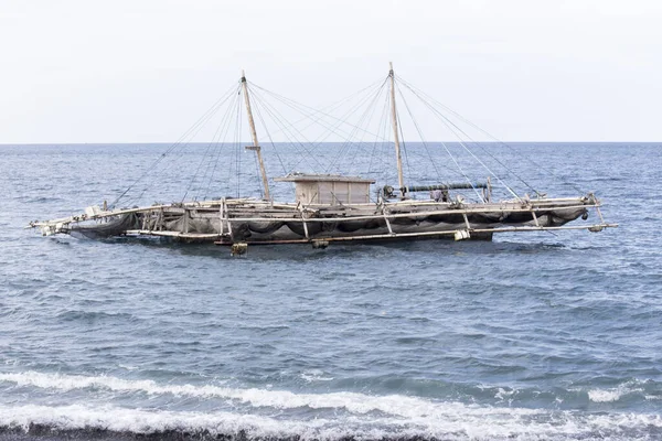 Tangkoko Indonesien August 2017 Fiskestation Tangkoko Nationalpark - Stock-foto