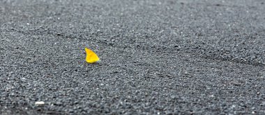 Siyah volkanik kum üzerinde sarı bir kelebeğin fotoğrafı, Endonezya