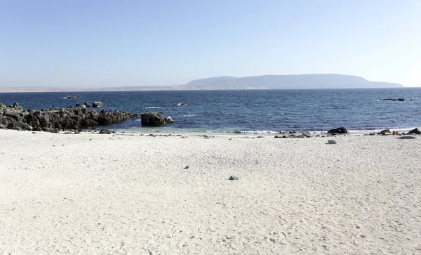 Pan Azucar Park Norra Chile — Stockfoto