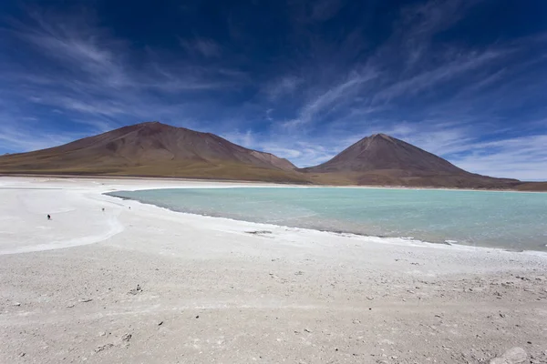 Widok Laguna Blanca Boliwii — Zdjęcie stockowe