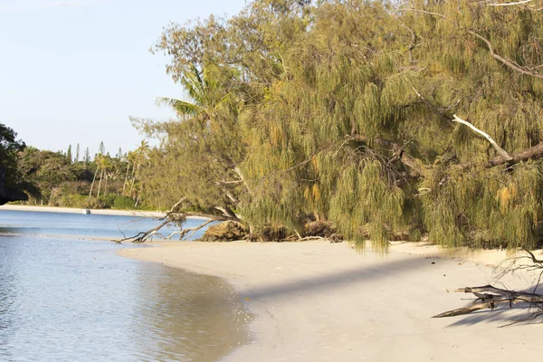 Utsikt Över Ile Des Pins Ett Tropiskt Paradis Nya Kaledonien — Stockfoto