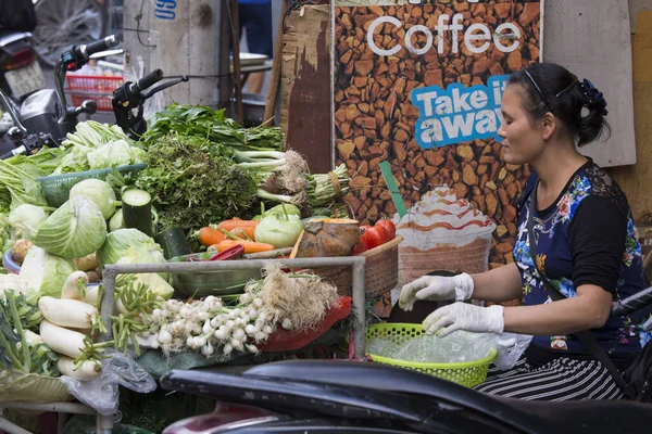 Hanoi Vietnam December 2016 Food Vendor Market Hanoi — Stock Photo, Image