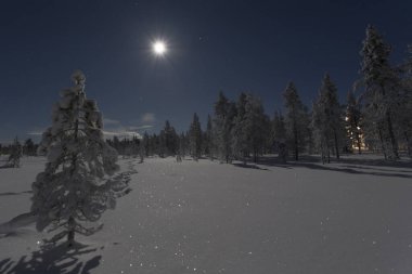 Kış gecesi Laponya 'da bir gece manzarası