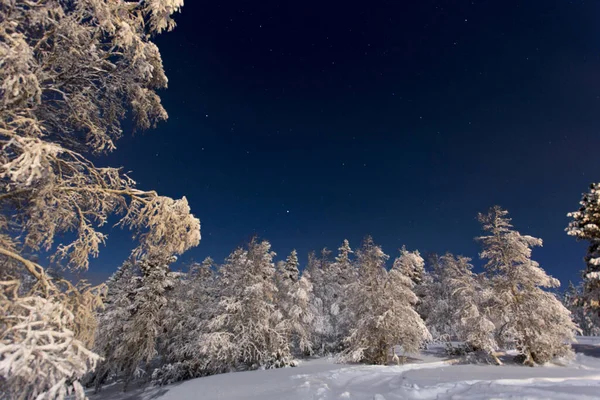 Eine Nächtliche Landschaft Lappland Der Winternacht — Stockfoto