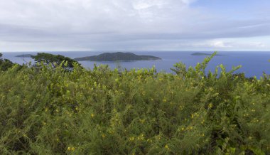 Tepenin tepesinden Seyşel Adaları manzarası