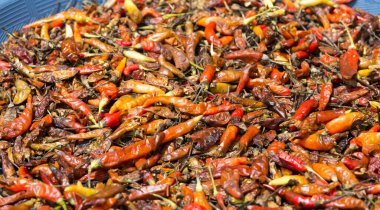 Kırmızı biber arka planı, Endonezya pazarı