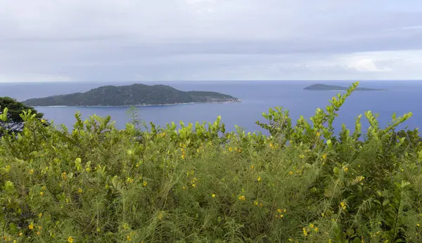 Uma Vista Ilhas Seychelles Alto Uma Colina — Fotografia de Stock