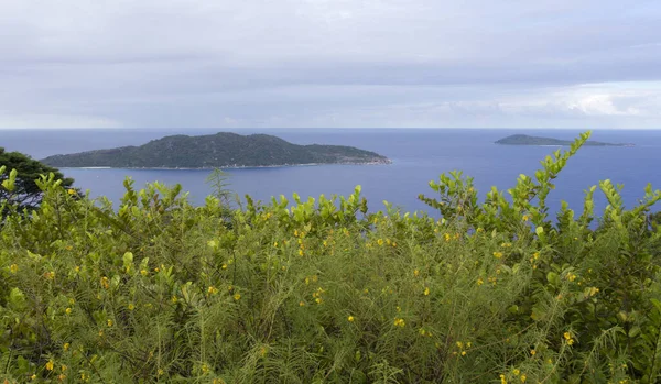 Vue Sur Les Îles Seychelles Depuis Sommet Une Colline — Photo