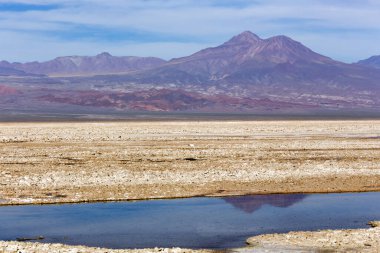 Şili 'de Chaxa gölünde bir manzara