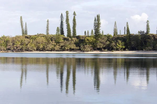 Ile Des Pins Kustlinje Nya Kaledonien — Stockfoto
