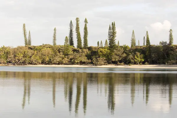 Kysten Ile Des Pins Caledonia – stockfoto