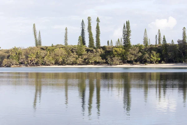 Kysten Ile Des Pins Caledonia – stockfoto